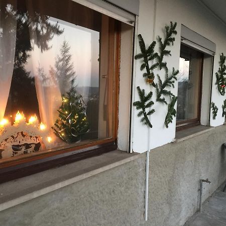 Mainzimmer Business Appartment - Monteurwohnung Mit Burgblick Wertheim Kültér fotó