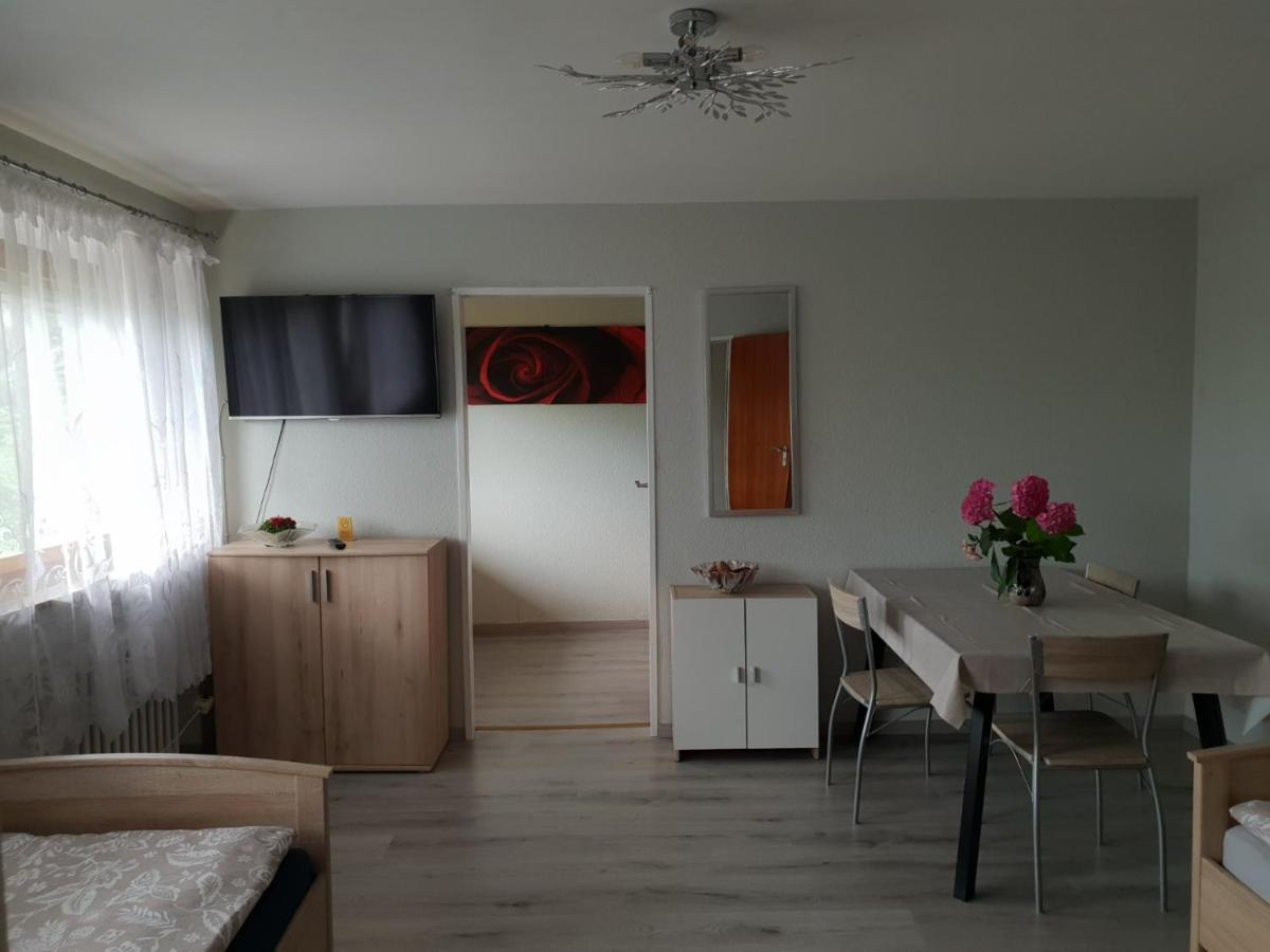 Mainzimmer Business Appartment - Monteurwohnung Mit Burgblick Wertheim Kültér fotó