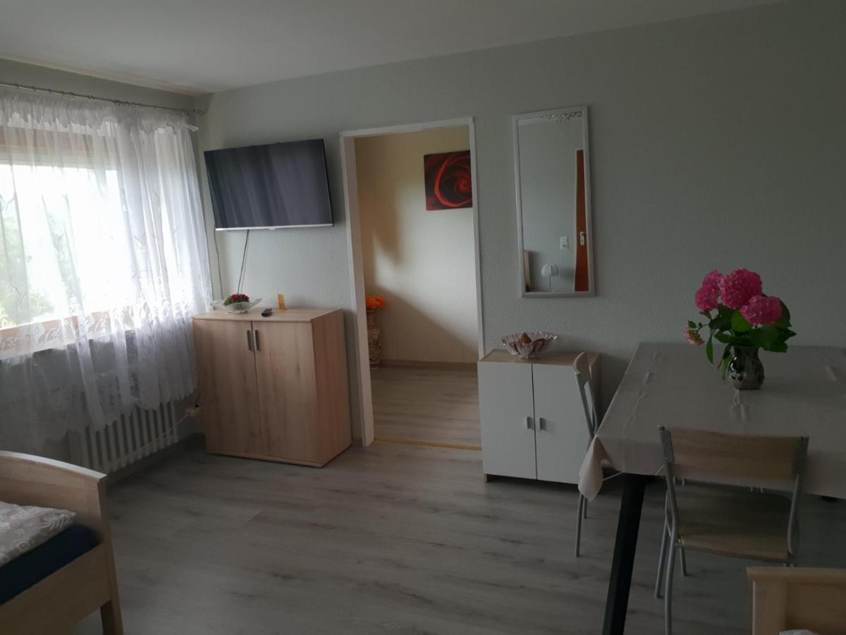 Mainzimmer Business Appartment - Monteurwohnung Mit Burgblick Wertheim Kültér fotó
