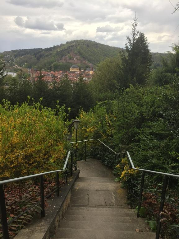 Mainzimmer Business Appartment - Monteurwohnung Mit Burgblick Wertheim Kültér fotó