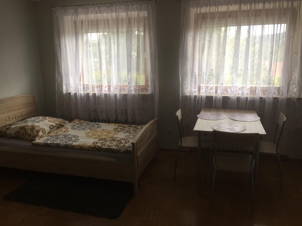 Mainzimmer Business Appartment - Monteurwohnung Mit Burgblick Wertheim Kültér fotó