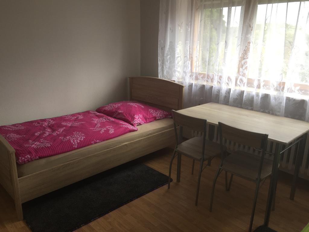 Mainzimmer Business Appartment - Monteurwohnung Mit Burgblick Wertheim Kültér fotó