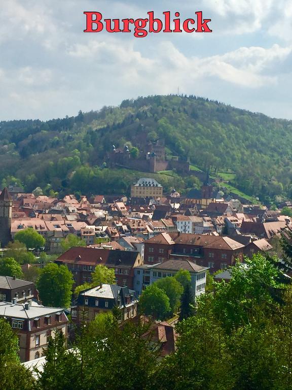 Mainzimmer Business Appartment - Monteurwohnung Mit Burgblick Wertheim Kültér fotó
