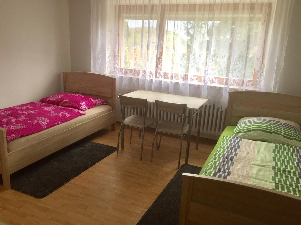 Mainzimmer Business Appartment - Monteurwohnung Mit Burgblick Wertheim Kültér fotó