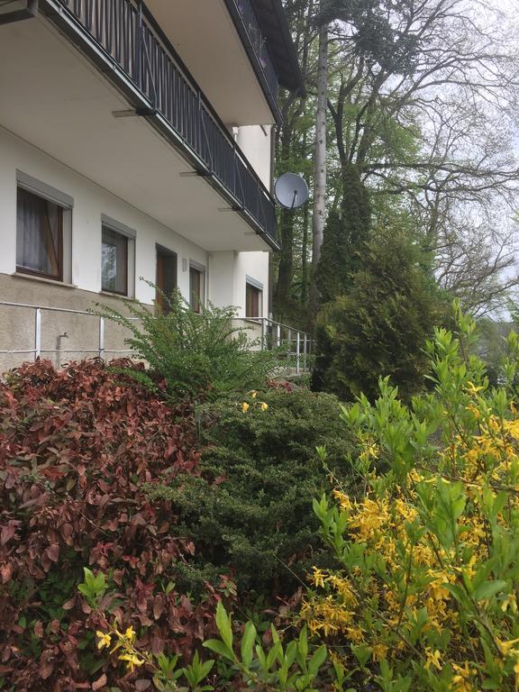 Mainzimmer Business Appartment - Monteurwohnung Mit Burgblick Wertheim Kültér fotó