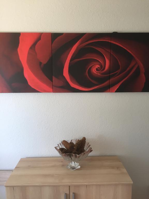 Mainzimmer Business Appartment - Monteurwohnung Mit Burgblick Wertheim Kültér fotó